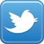 Small Twitter Icon